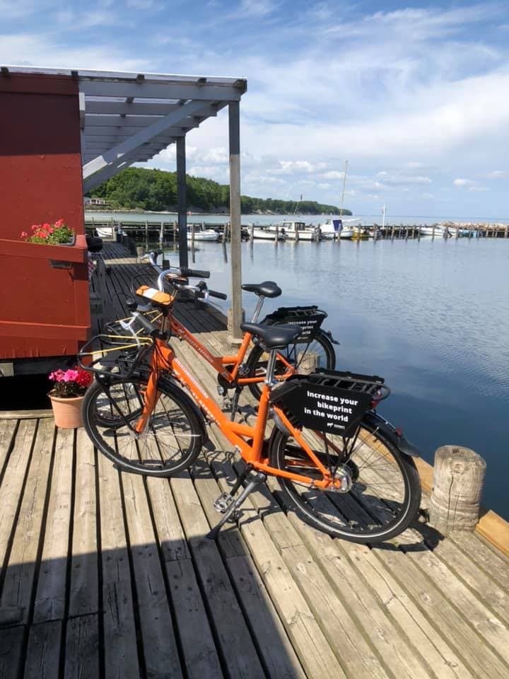 Bøgeskov Havn Stevns