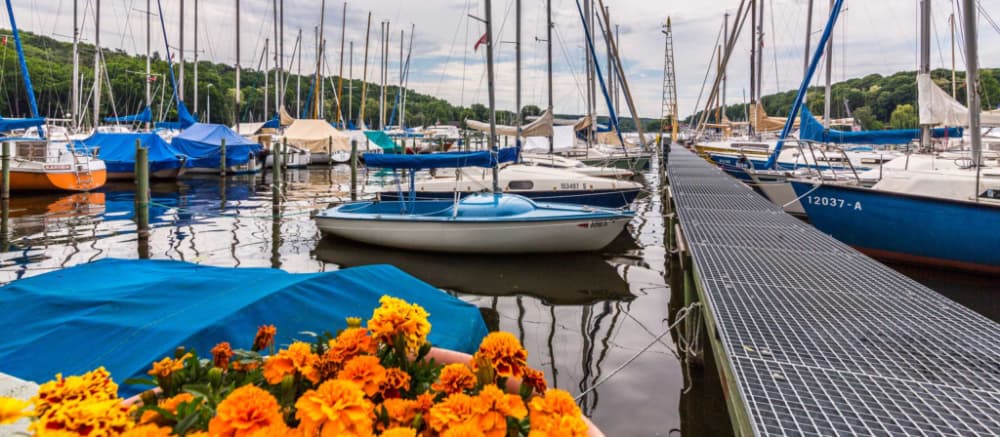 Seglervereinigung Havel e.V.