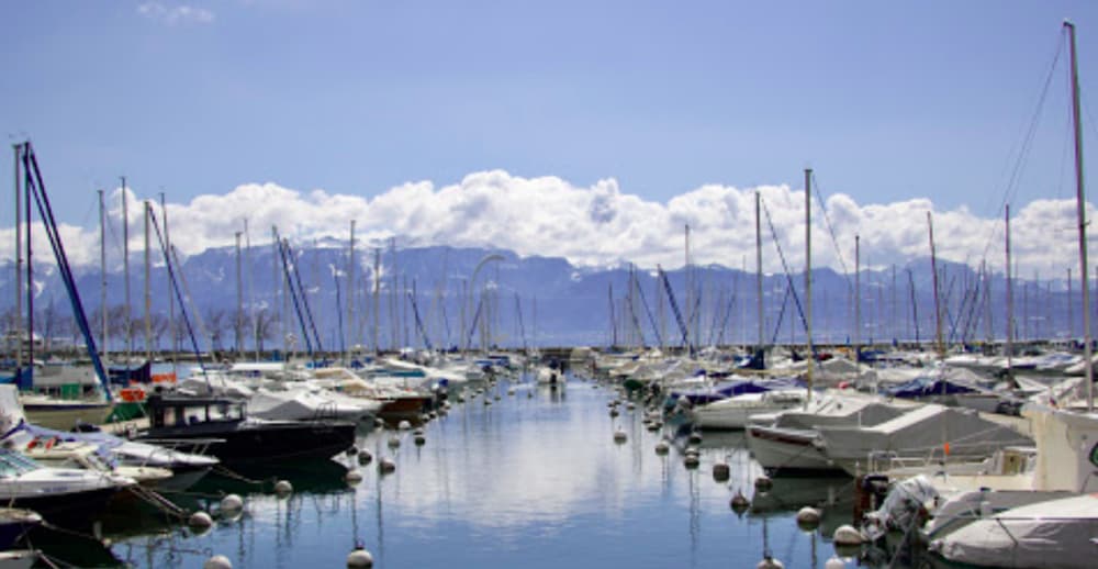 Marina Image