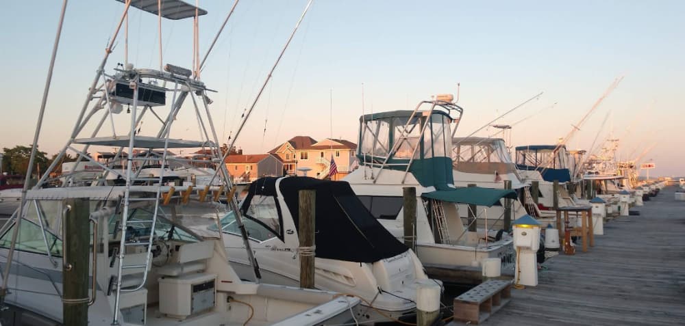 Marina Image