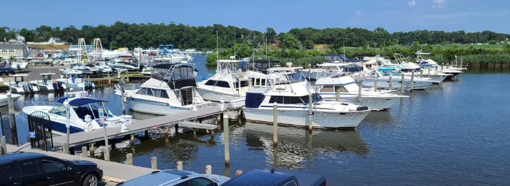 Marina Image