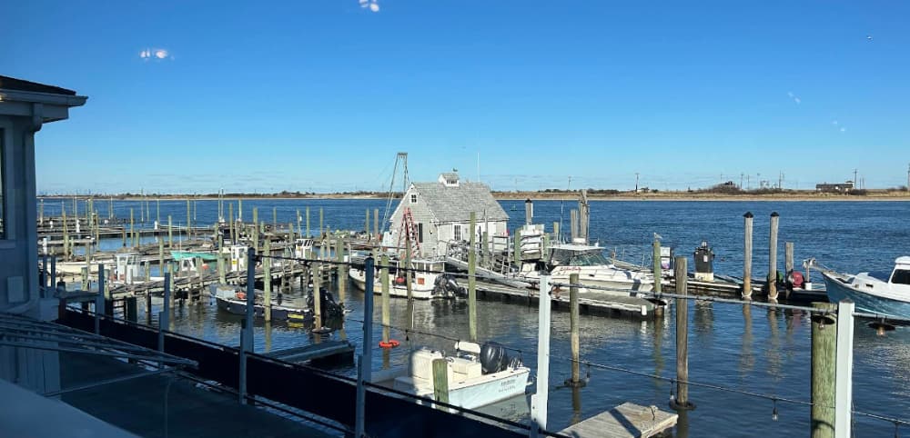 Marina Image