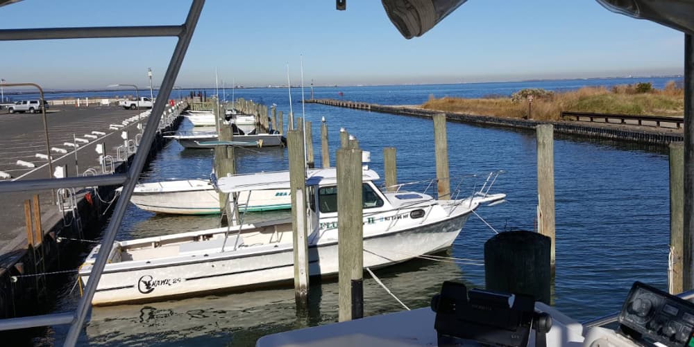 Marina Image