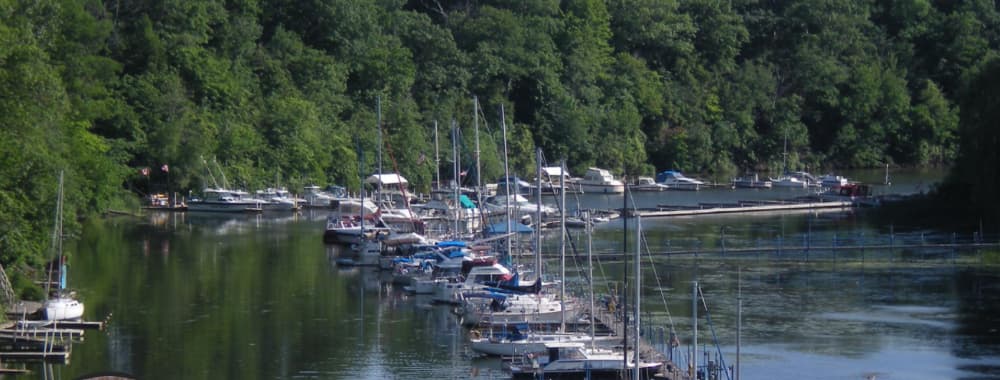 Wiley's Riverside Marina