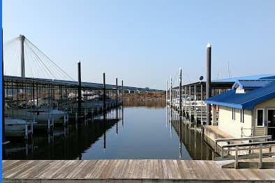 Marina Image