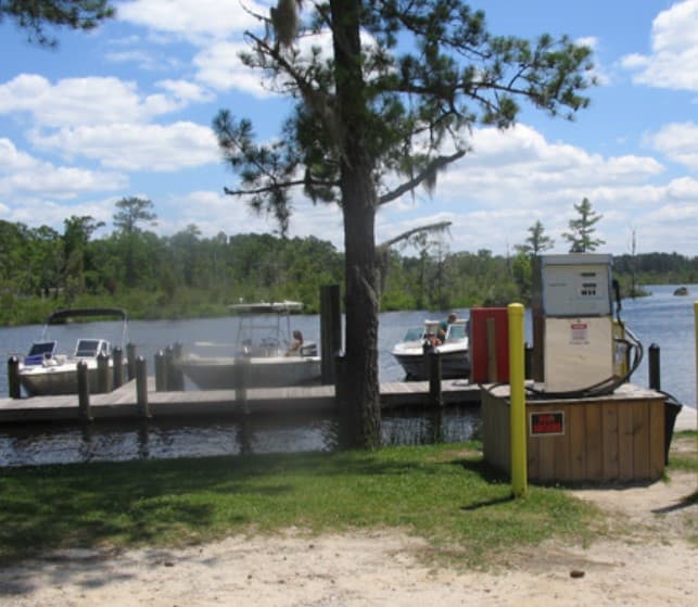 Cotton Patch Landing