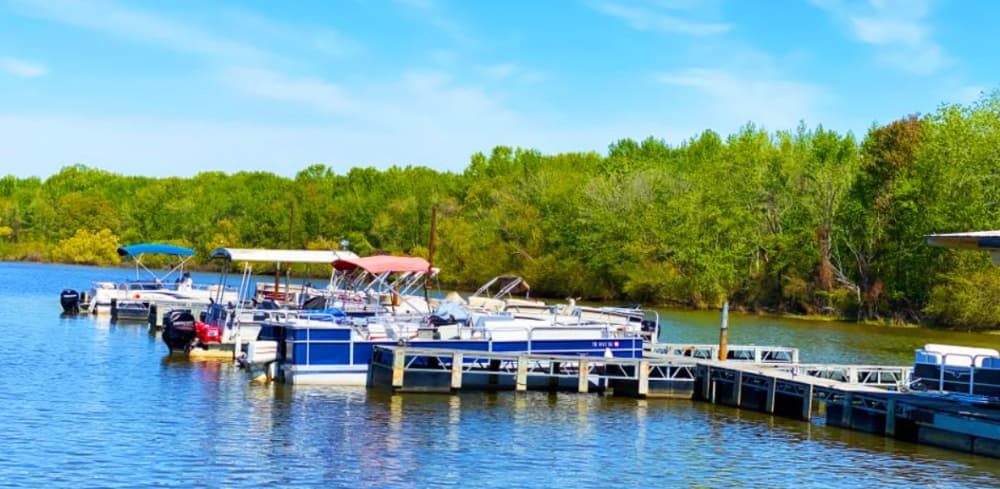 Sunset Bay Resort Marina