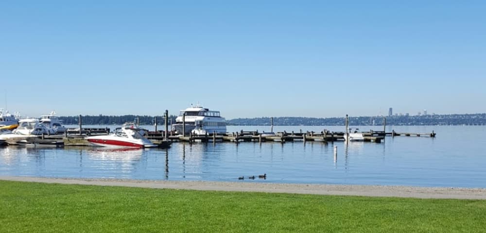 Kirkland Marina Park