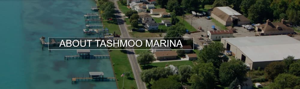 Tashmoo Marina Inc