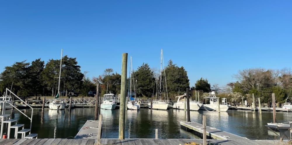 Dandy Haven Marina