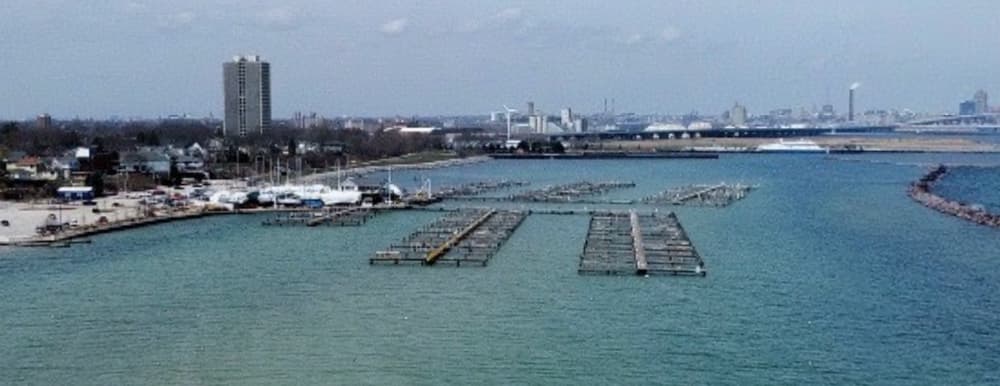 South shore yacht club