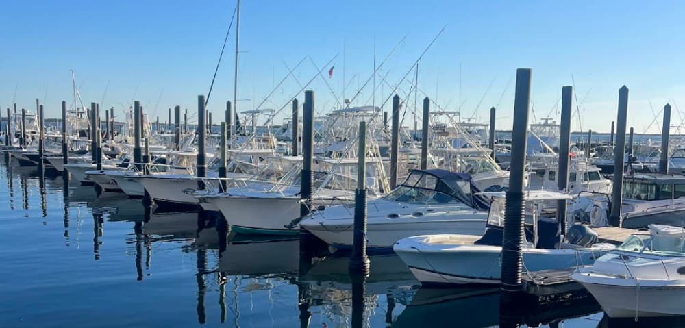 Marina Image