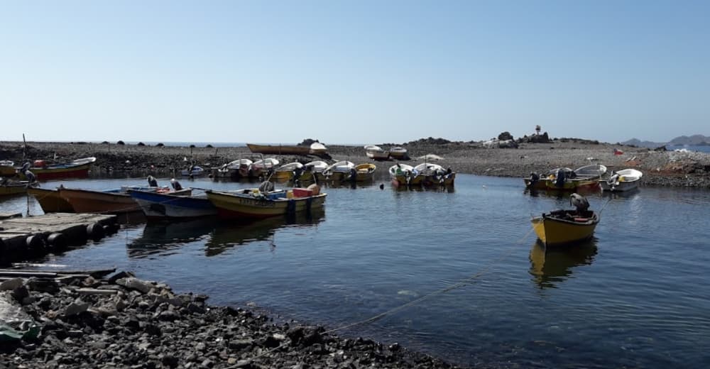 Carrizal Bajo Huasco