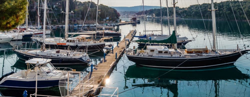 Marina VLASKA - MILNA