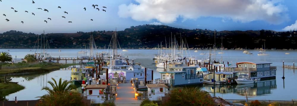 Galilee Harbor Community Association