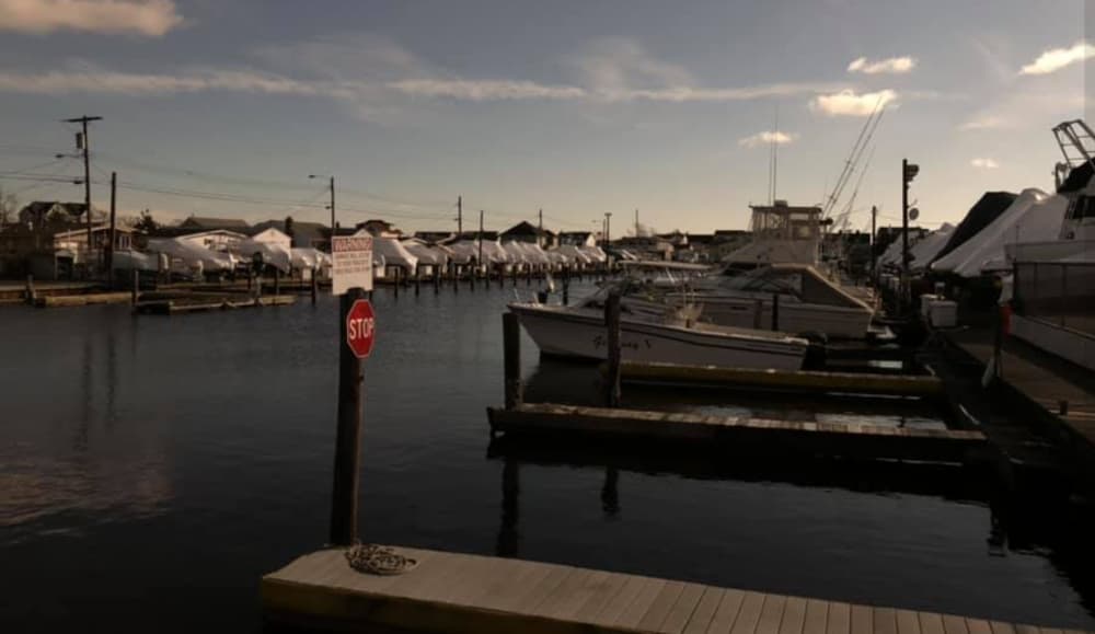 Baywood Marina