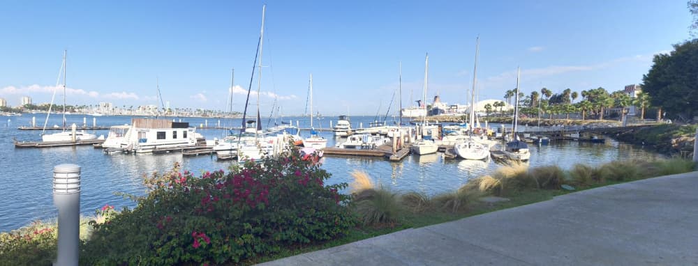 Harbor Light Landing