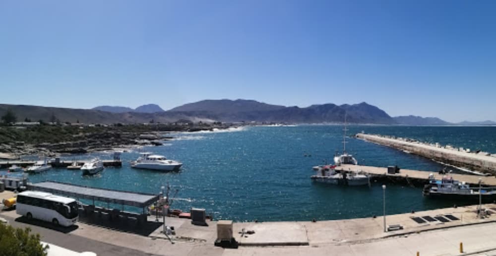 Hermanus New Harbour