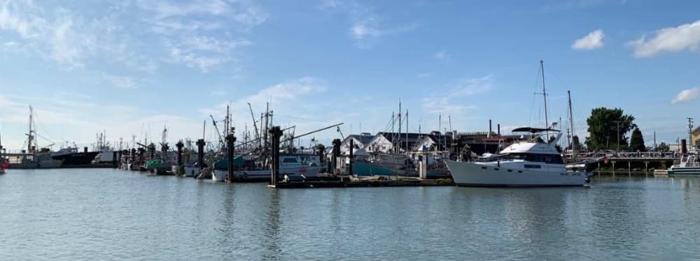 Steveston Harbour Authority Gulf Sitek