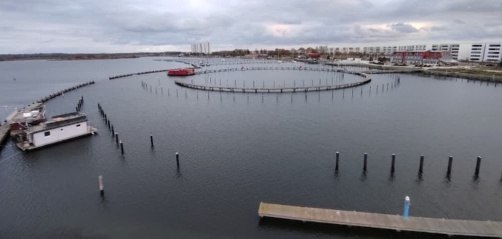 Burgtiefe Yachthafen