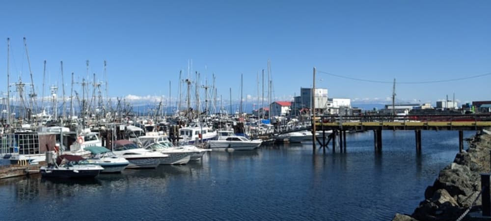 Marina Image