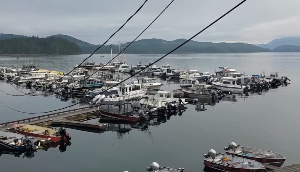 Knudson Cove Marina