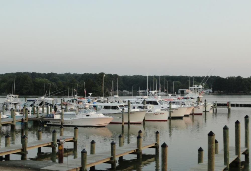 Drury's Marina
