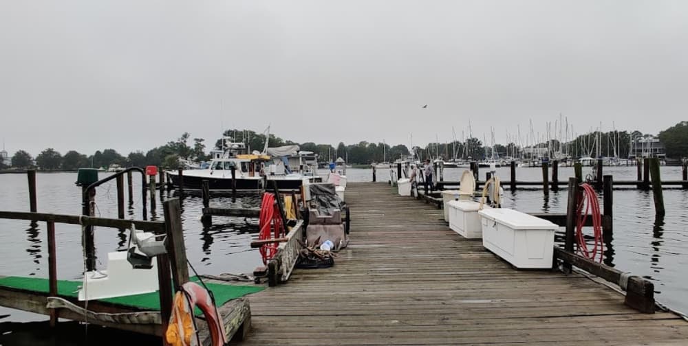 Calvert Marina Solomons