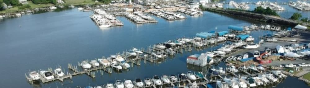 Turkey Point Marina & Yacht Club