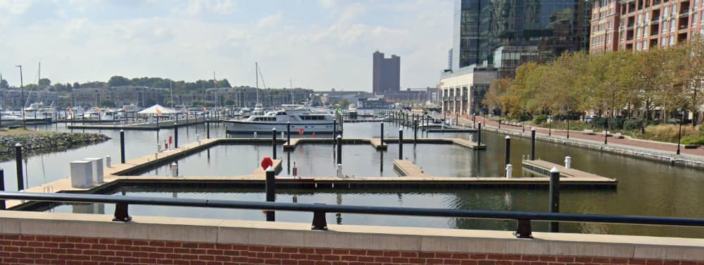 Living Classrooms Foundation Marina