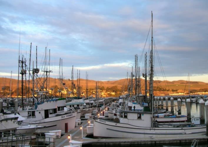 Spud Point Marina