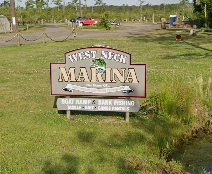 Marina Image