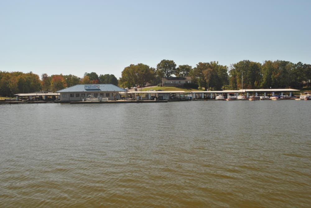 Buchanan Resort Marina