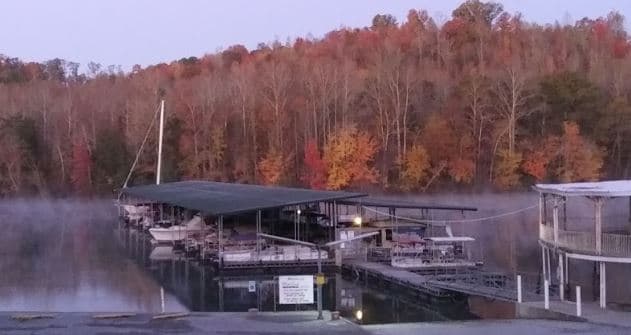 Whites Creek Marina & Lakeside Resort