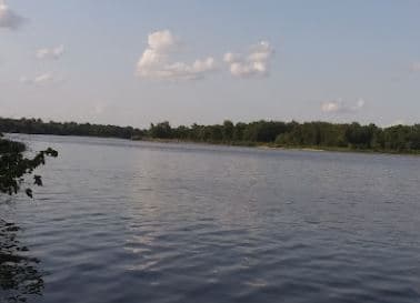 Island Harbor Marina