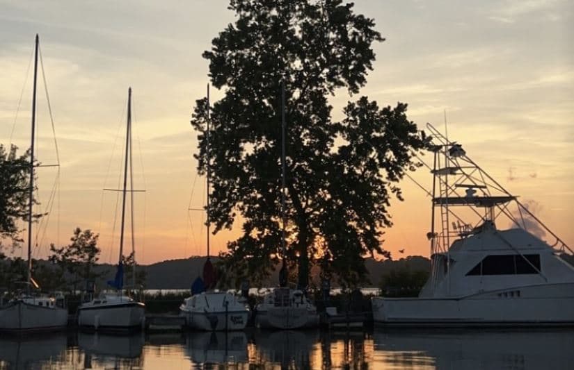 Russellville Marina & Boat Repair & Cabins