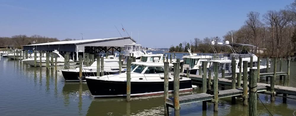DIMILLO'S ON THE CHESAPEAKE WEST MARINA (Shady Oaks Marina)