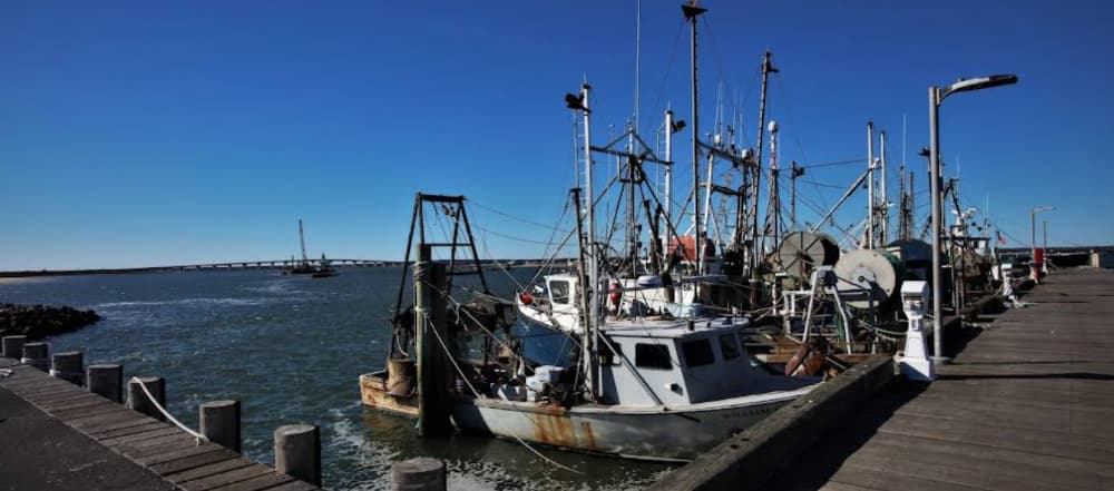 Shinnecock Commercial Fishing Dock