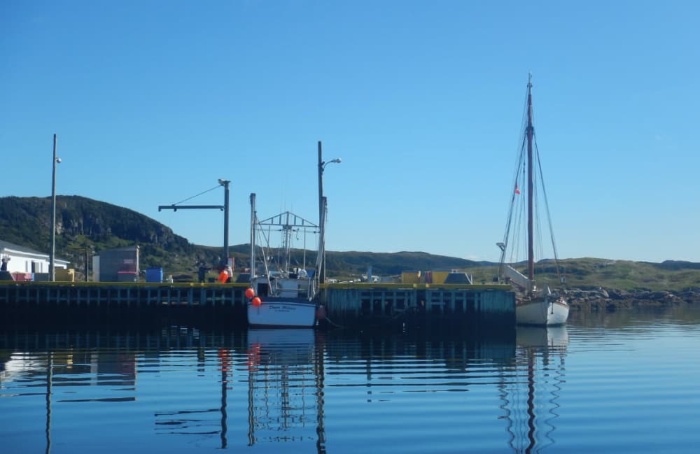 Burgeo wharf 