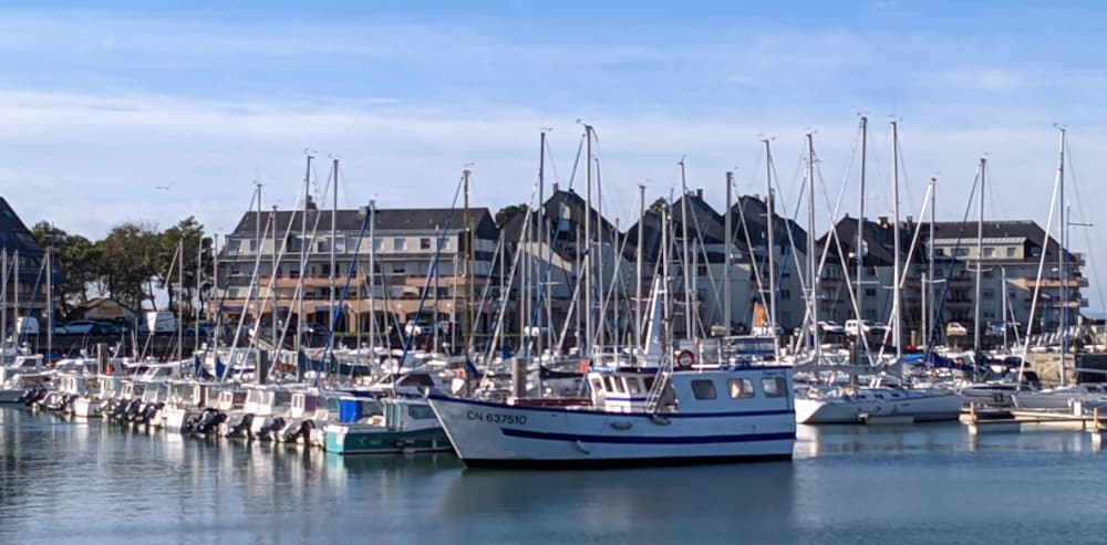 Marina Image