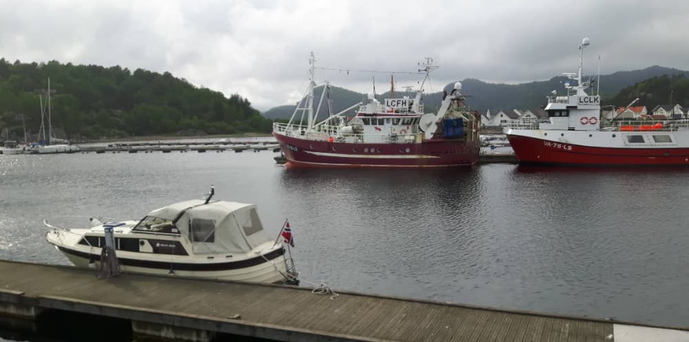 Marina Image