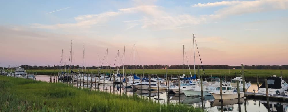 Marina Image