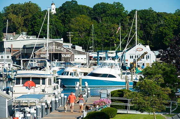 Safe Harbor Dauntless