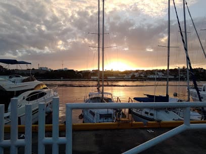 Marina Bartolomé Colón