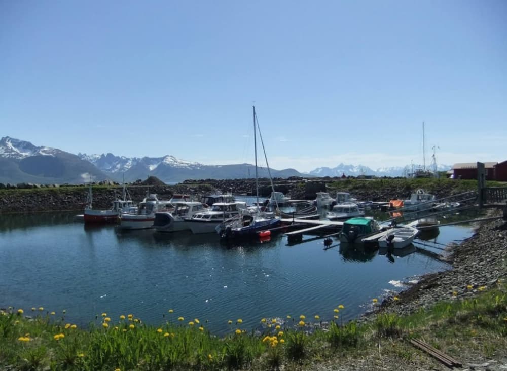 Tjønnvollen Småbåtforening