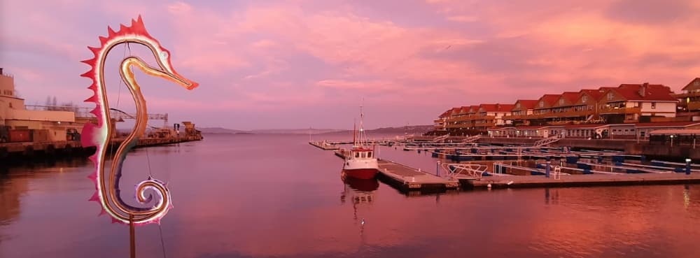Odden Marina Boating Association