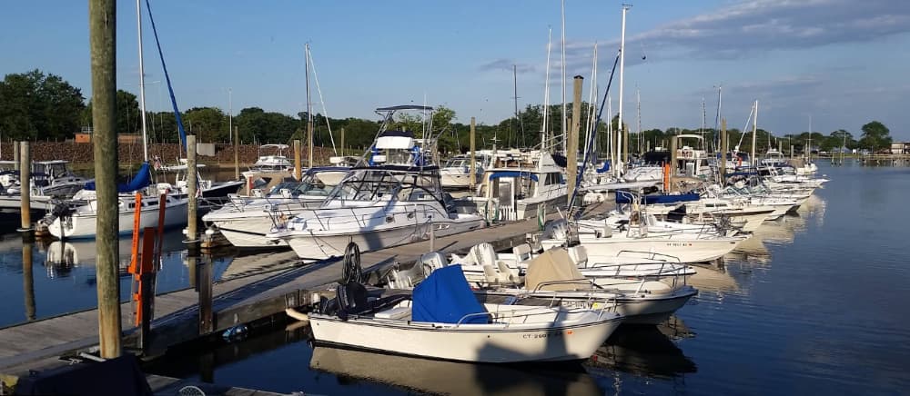 Halloween Yacht Club