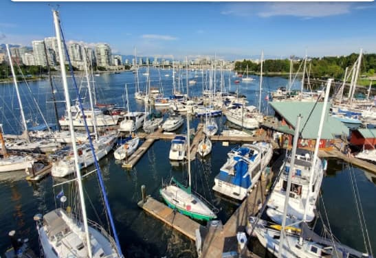 Spruce Harbour Marina