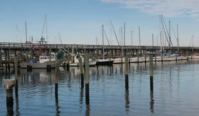 Bill Dye Marina