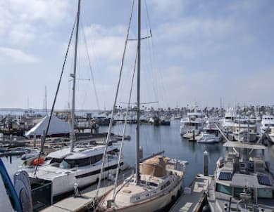 Point Loma Marina